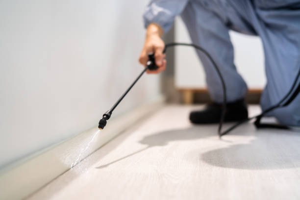 Licensed Pest Control service in Rochester, MI - Show Me Pest Control