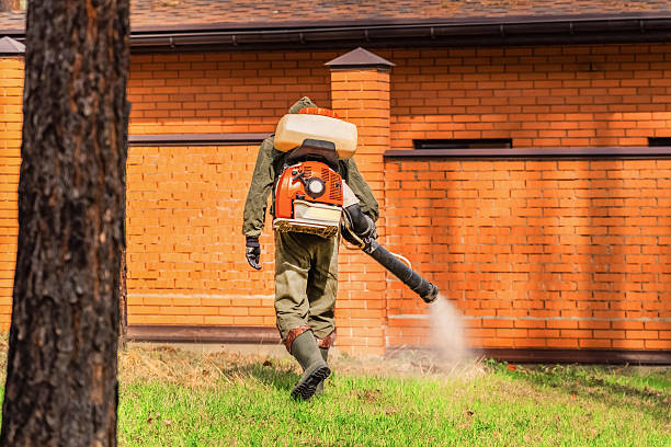 Top rated local Mosquito Control specialists in Rochester, MI